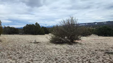 9401 Latigo Rd #252, Williams, AZ 86046 photo 7