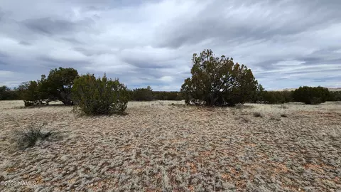 9401 Latigo Rd #252, Williams, AZ 86046 photo 14