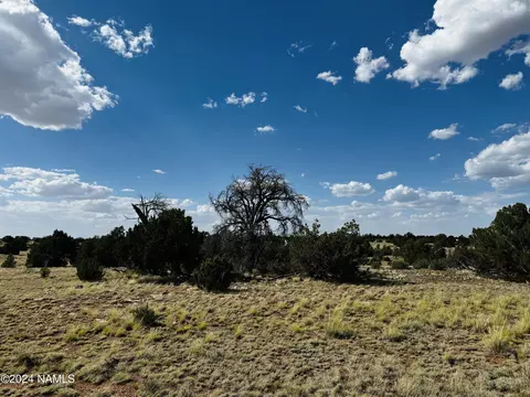 3359 E Silver Valley Rd, Williams, AZ 86046 photo 1