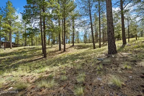 2531 E Del Rae Dr, Flagstaff, AZ 86005