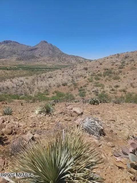 00 N Pedregosa Dr #119, Douglas, AZ 85607