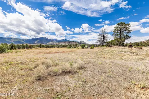5464 E Pumpkin Patch Rd, Flagstaff, AZ 86004 photo 7