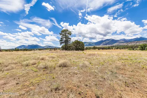 5464 E Pumpkin Patch Rd, Flagstaff, AZ 86004 photo 6