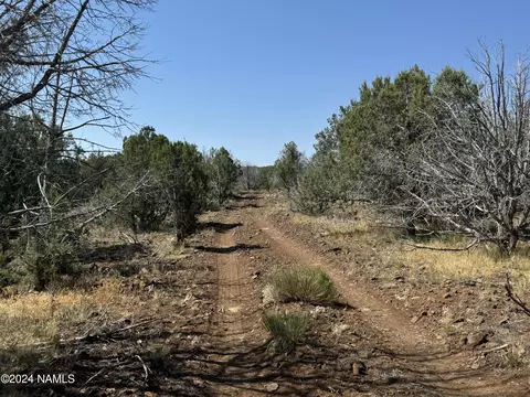 024 Parcel 205-20-024 Pineveta Rd, Ash Fork, AZ 86320