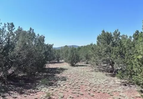 1434 E Barbara Rd #838, Williams, AZ 86046 photo 6