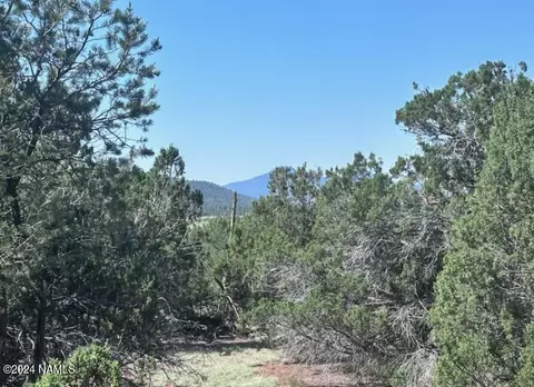 1434 E Barbara Rd #838, Williams, AZ 86046 photo 3