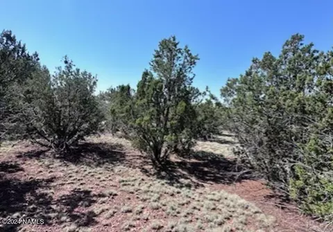 1434 E Barbara Rd #838, Williams, AZ 86046 photo 4