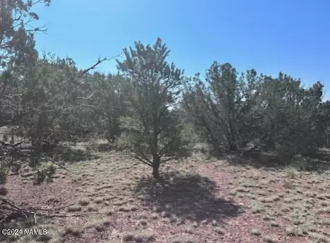 1434 E Barbara Rd #838, Williams, AZ 86046 photo 7