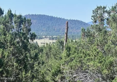 1434 E Barbara Rd #838, Williams, AZ 86046 photo 2