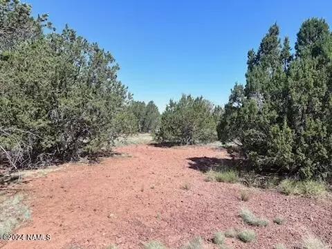1535 E Cienega Dr #826, Williams, AZ 86046