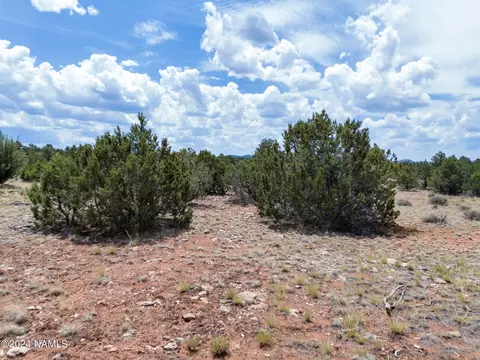 4519 Lasso Lp, Williams, AZ 86046 photo 5