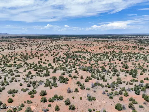 4519 Lasso Lp, Williams, AZ 86046 photo 14