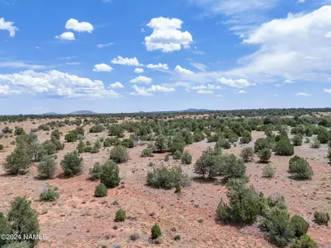 4519 Lasso Lp, Williams, AZ 86046 photo 8