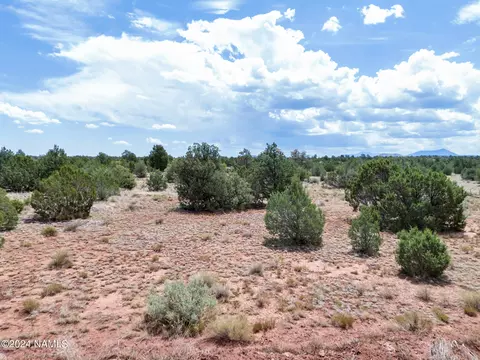 4519 Lasso Lp, Williams, AZ 86046 photo 2