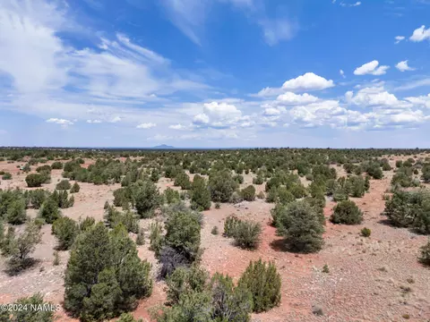 4519 Lasso Lp, Williams, AZ 86046 photo 9