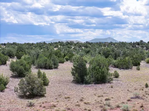 4519 Lasso Lp, Williams, AZ 86046 photo 12