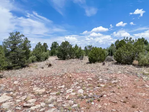 4519 Lasso Lp, Williams, AZ 86046 photo 6