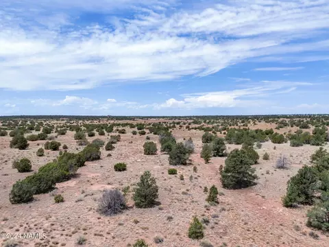 4519 Lasso Lp, Williams, AZ 86046 photo 10