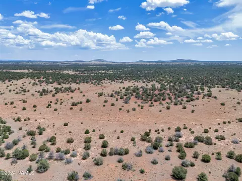 4519 Lasso Lp, Williams, AZ 86046 photo 17