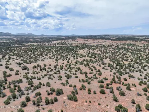 4519 Lasso Lp, Williams, AZ 86046 photo 15