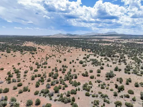 4519 Lasso Lp, Williams, AZ 86046 photo 16