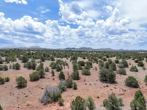 4519 Lasso Lp, Williams, AZ 86046 photo 7
