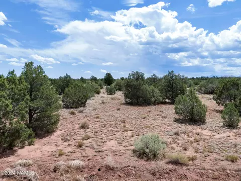 4519 Lasso Lp, Williams, AZ 86046 photo 4