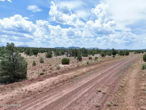 4519 Lasso Lp, Williams, AZ 86046 photo 3