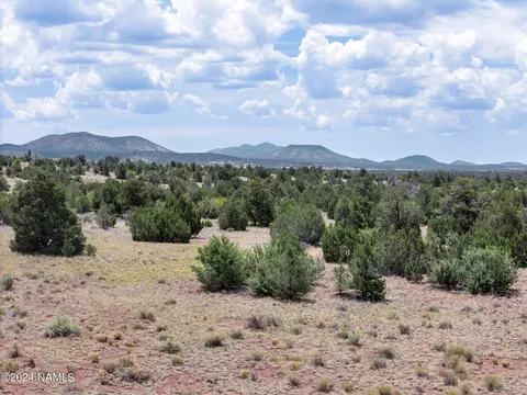 4519 Lasso Lp, Williams, AZ 86046 photo 11