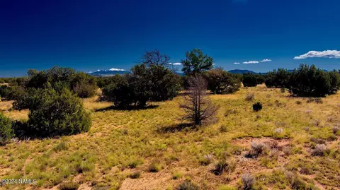 4009 Laurence Dr, Williams, AZ 86046 photo 4