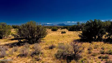 4009 Laurence Dr, Williams, AZ 86046 photo 6