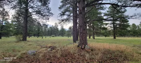 487 S Pinehurst Dr, Williams, AZ 86046 photo 3