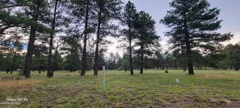 487 S Pinehurst Dr, Williams, AZ 86046 photo 2