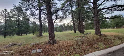 487 S Pinehurst Dr, Williams, AZ 86046 photo 9