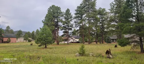 487 S Pinehurst Dr, Williams, AZ 86046 photo 17