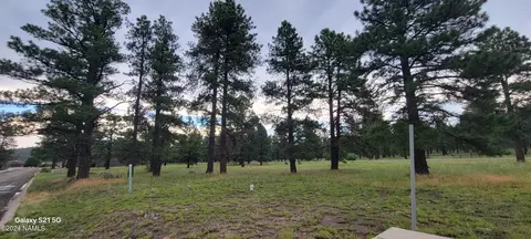 487 S Pinehurst Dr, Williams, AZ 86046 photo 6