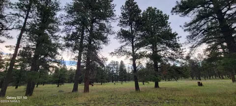 487 S Pinehurst Dr, Williams, AZ 86046 photo 14