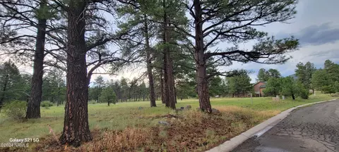 487 S Pinehurst Dr, Williams, AZ 86046 photo 7
