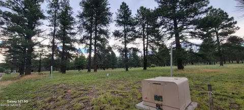 487 S Pinehurst Dr, Williams, AZ 86046