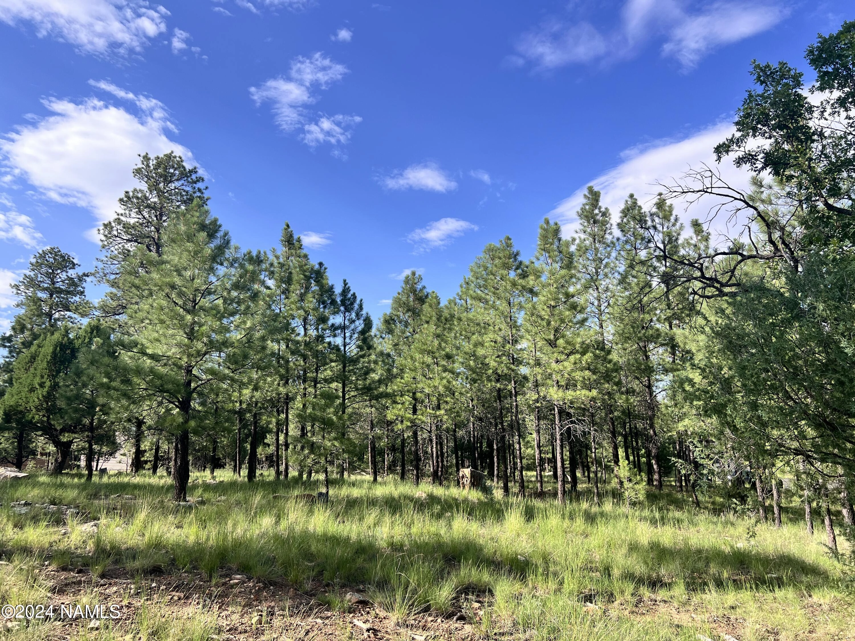 1600 Mule Deer Pl  