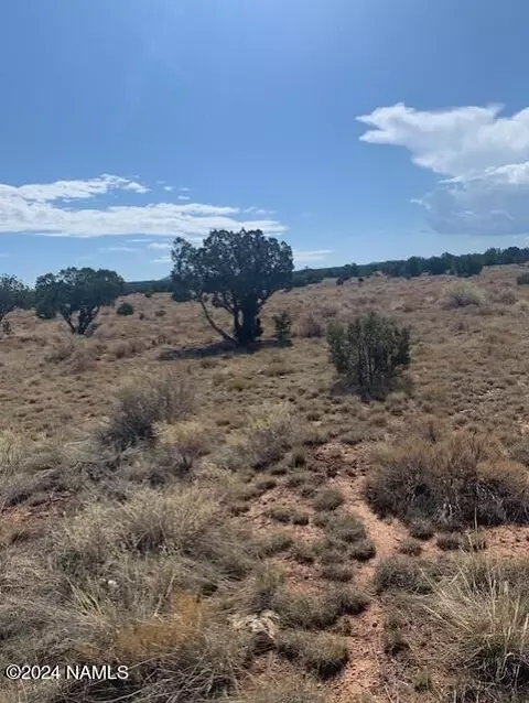 4656 E Redwood Ln #401, Williams, AZ 86046