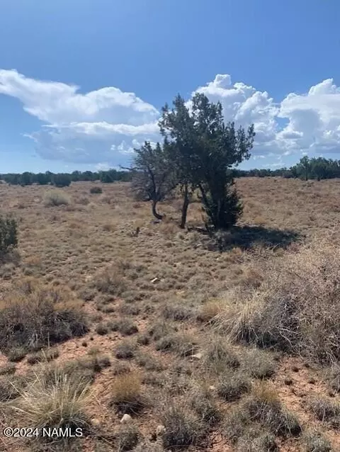 795 S Kenwood St #414, Williams, AZ 86046