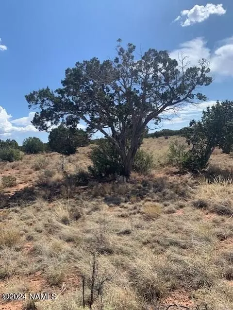 4896 E Redwood Ln #385, Williams, AZ 86046