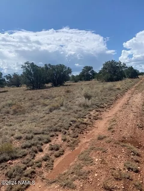795 S Lodestar Dr #384, Williams, AZ 86046