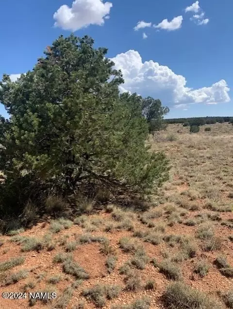 823 S Lodestar Dr #383, Williams, AZ 86046