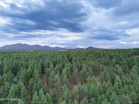 7300 E Long Bow Dr, Williams, AZ 86046 photo 31