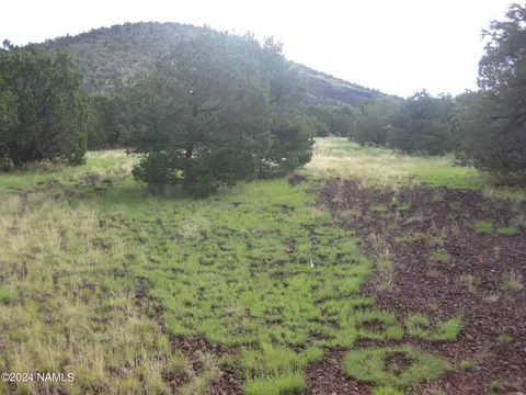 6087 N Joshua Tree Rd, Williams, AZ 86046