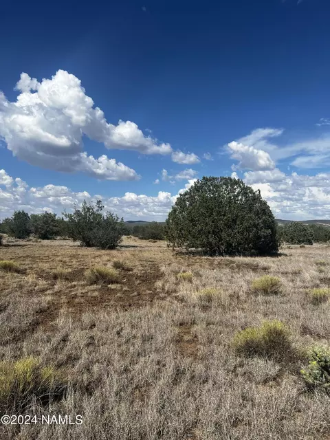 3101 W Yukon Dr #671, Ash Fork, AZ 86320