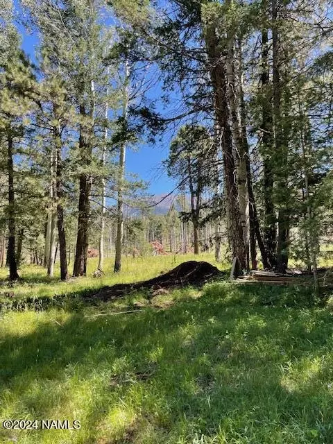 7105 W Freedline Dr, Flagstaff, AZ 86001