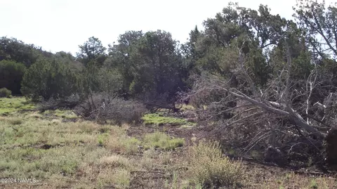 848 E Little Horse Rd #152, Williams, AZ 86046